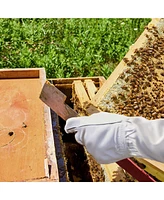 Honey Keeper 2-Pack Stainless Steel J Hook Bee Hive Tool, 10-1/2 inch Frame Lifter and Scraper, Beekeeping Equipment