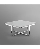Stainless Steel and Metallic Wood Square Coffee Table – Sleek Sturdy