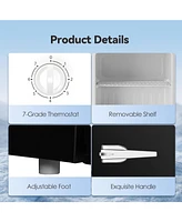 Zafro Mini Freezer, 1.2 Cu.ft Small Upright Freezer with Handle, Removable Shelves, 7 Adjustable Thermostat, Low Noise for Bedroom/Apartment/Office