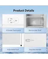 Zafro Compact Upright Freezer, 2.3 Cu Ft with Handle, Removable Shelves, Adjustable Thermostat, Low Noise Design for Bedroom, Apartment or Office