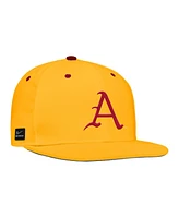 Nike Men's Gold Arkansas Razorbacks On-Field True Performance Baseball Fitted Hat