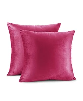 Nestl Elegant Velvet Removeable Cover 2-Pack Decorative Pillows