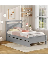 Twin Wooden Bed Frame with 2 Drawers for Teens and Adults