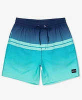 Hurley Men's Cannonball Volley 17 Boardshorts