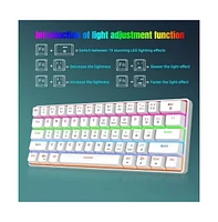 60% Mechanical Gaming Keyboard, Red Switch, Wired Gaming Colorful Backlit Gaming Keyboard, Pudding Keycaps Compact