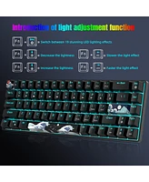 Wired 60% Mechanical Gaming Keyboard, Blue Switch 61 Key Keyboard with Rgb Backlit and Ultra-Compact