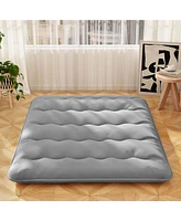 Queen Futon Mattress Japanese Floor Pad Washable Cover Carry Bag