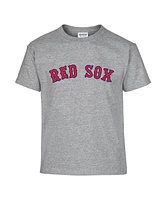 Soft As A Grape Big Boys and Girls 2-Pack Navy/Gray Boston Red Sox T-Shirt Set