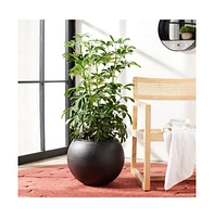 Gerand Planter