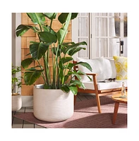 Nardo Large Planter Pot
