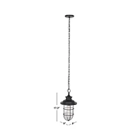 Adelle 9" Outdoor Pendant
