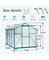 6'x8' Polycarbonate Greenhouse - Walk-in