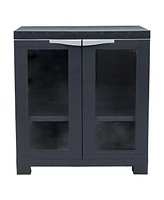 Versatile Plastic Storage Cabinet with Adjustable Shelf and 2 Windows - Charcoal - 25.5"