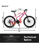 26 inch Mountain Bike for Teenagers Girls Women, Shimano 21 Speeds with Dual Disc Brakes and 100mm Front Suspension