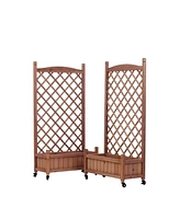 2-Pack Raised Garden Bed with Trellis & Climbing Racks