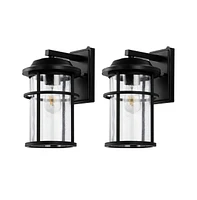 Cianna 9.5" Outdoor Sconce