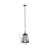 Braith 9.1" Outdoor Pendant