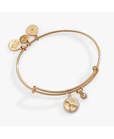 Zodiac Bangle Bracelet Cancer