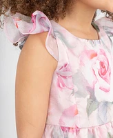 Rare Editions Toddler and Little Girls Floral Organza Party Dress