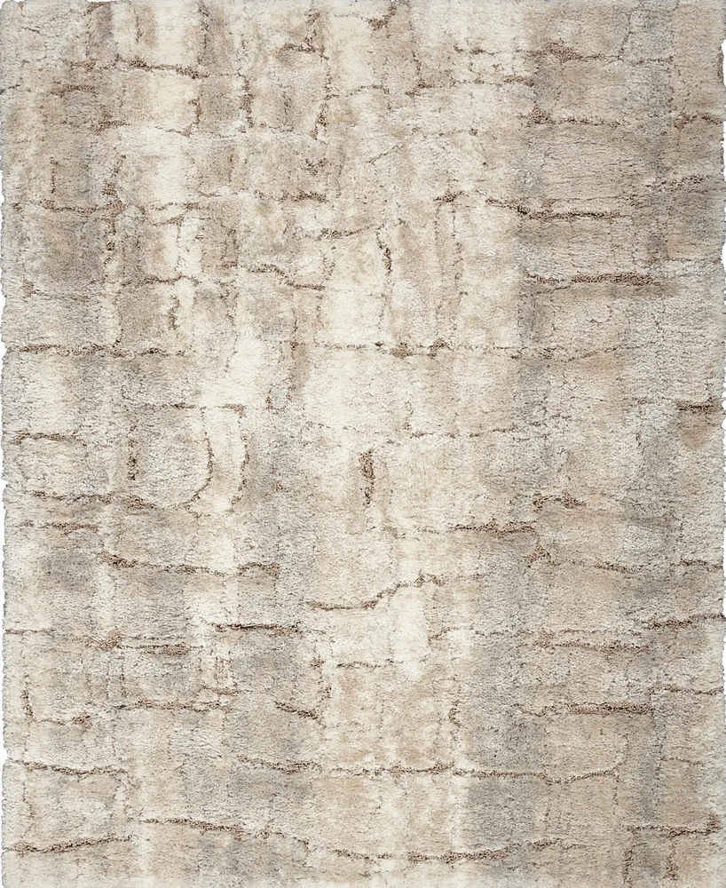 Nourison Home Dreamy Shag DRS09 4'x6' Area Rug