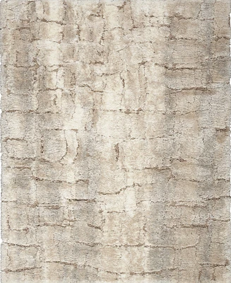 Nourison Home Dreamy Shag DRS09 4'x6' Area Rug
