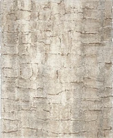 Nourison Home Dreamy Shag DRS09 4'x6' Area Rug