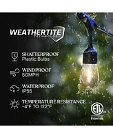 Ambience Pro Heavy Duty Solar-Powered Led Outdoor String Lights with 15 Hooks (48 ft.)