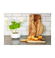 Artisan Organic Edge Anti Bacterial Wood Paddle Board
