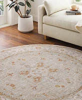 Livabliss Avant Garde Avt-2314 6'7"x6'7" Round Area Rug