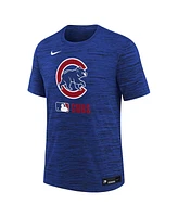 Nike Big Boys and Girls Royal Chicago Cubs Authentic Collection Velocity Performance T-Shirt