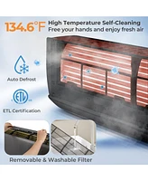 Energy Star Certified 24000 Btu 21 SEER2 208-230V Mini Split Air Conditioner and Heater Gray Wifi Enabled