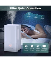 4L Ultrasonic Humidifier with Essential Oil Diffuser and 2 Mist Levels