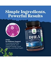 Dhea 25mg for Women & Men | Dhea Supplement for Mood Energy & Immune Support, Hormone Balance Supplement | 120ct