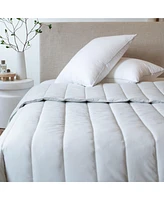 All Season Down Alternative Machine Washable Duvet Comforter Insert
