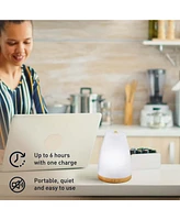 Pursonic Usb Aroma Diffuser & True Hepa Air Purifier Bundle