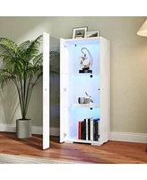Storage Cabinets with aluminum strip lamp,with Glass Shelves, for Living Room/Bedroom/Office