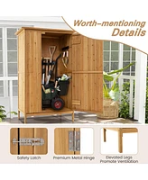 5 × 3 Feet Outdoor Storage Cabinet with Asphalt Roof and 3 Shelves