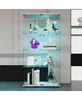 Led Glass Display Cabinet with 4 Shelves and Door, 64.7" x 31.7" x 14.3