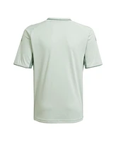 Adidas Big Boys and Girls Light Green Nashville Sc 2025 One Planet Pre-Match Jersey