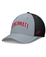 Nike Men's Gray/Black Cincinnati Reds Rise Swoosh Performance Flex Hat