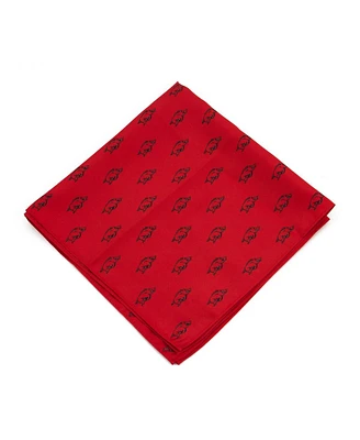 Eagles Wings Arkansas Razorbacks Kerchief Pocket Square