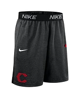 Nike Men's Black Cincinnati Reds Authentic Collection City Connect Performance Knit Shorts