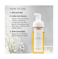 Teluris Hydro Purification Pre, Pro & Postbiotics Foam Cleanser