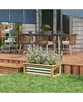 Reinforced Self-Draining Garden Bed for Lush Plant Growth