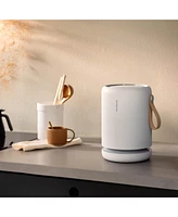 Molekule Air Mini + with Peco-hepa Tri-Power Filter