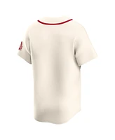 Nike Men's Cream Ohio State Buckeyes Limited Alternate Wordmark Jersey