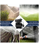 1200 W Garden Water Pump Shallow Well Pressurized Irrigation-Black