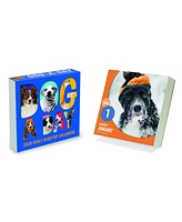 2026 Dog A Day Daily Desktop Calendar