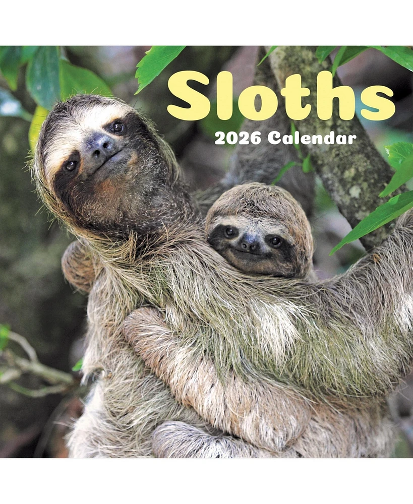 2026 Sloths Wall Calendar