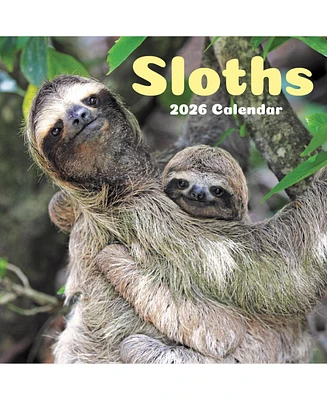 2026 Sloths Wall Calendar